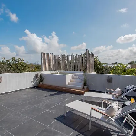 Penthouse Whit Privare Roof Top