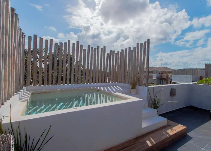 Appartement Penthouse Whit Privare Roof