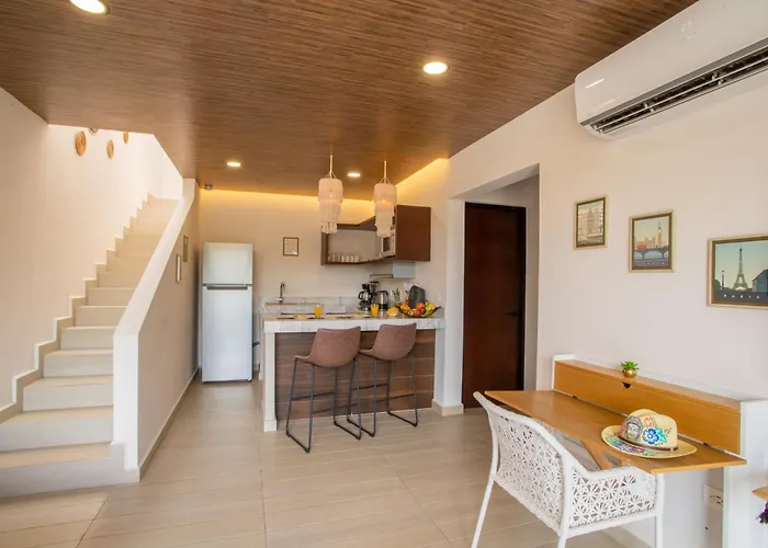 Penthouse Whit Privare Roof Appartement