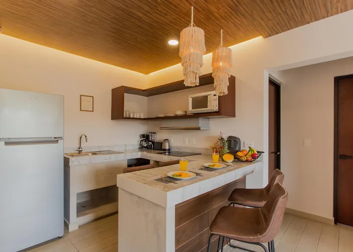 Appartement Penthouse Whit Privare Roof *